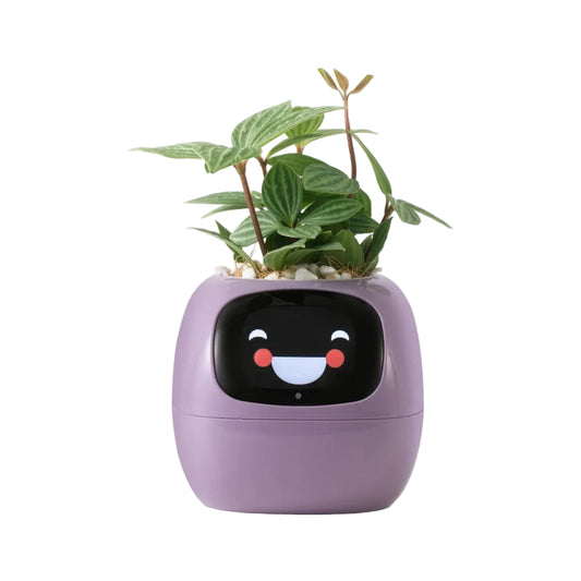 Pot Connecté FloBot Émotion – Jardinière Intelligente WiFi avec 49 Expressions