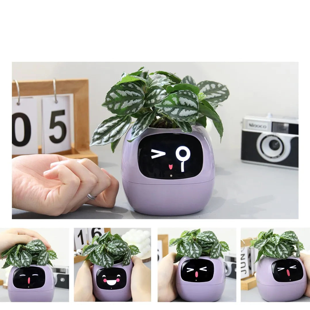 Pot Connecté FloBot Émotion – Jardinière Intelligente WiFi avec 49 Expressions