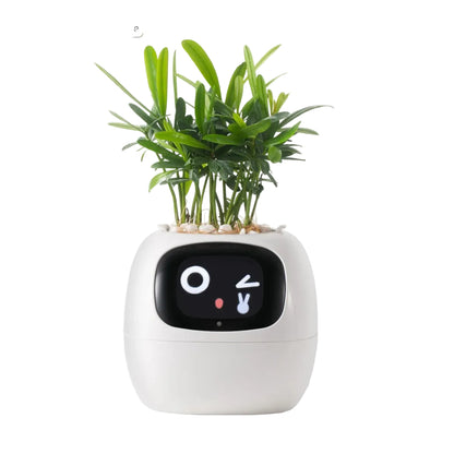 Pot Connecté FloBot Émotion – Jardinière Intelligente WiFi avec 49 Expressions
