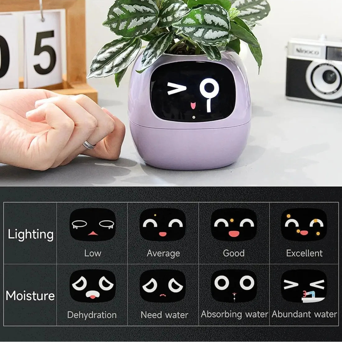 Pot Connecté FloBot Émotion – Jardinière Intelligente WiFi avec 49 Expressions