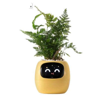 Pot Connecté FloBot Émotion – Jardinière Intelligente WiFi avec 49 Expressions